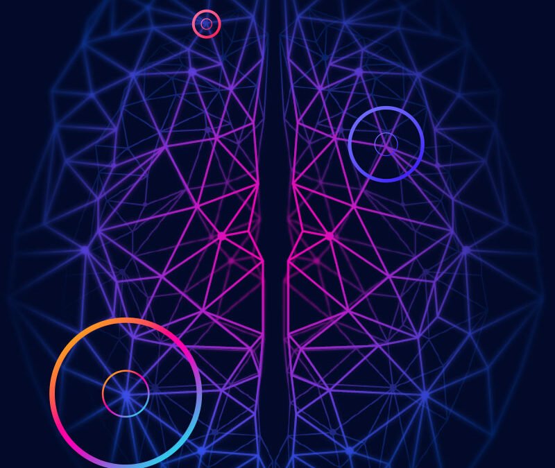 에볼루션 카지노 후기 | 검증 사이트 2024